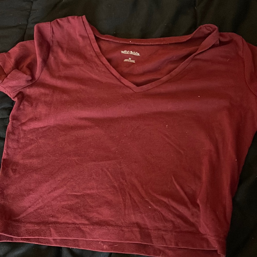 wild fable crop v neck